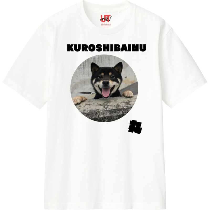 9dddc819 7133 4df4 815a 7b4dbfcb5836 110 print ll