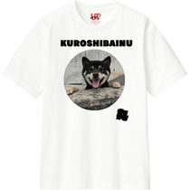 9dddc819 7133 4df4 815a 7b4dbfcb5836 110 print s