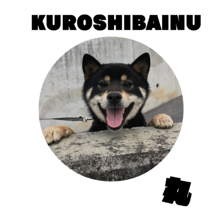 9dddc819 7133 4df4 815a 7b4dbfcb5836 s