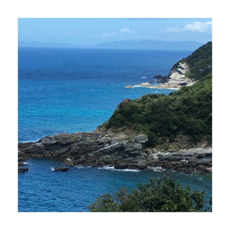 8df6826f e62f 4f67 9dfe 4062b3cdd0aa s