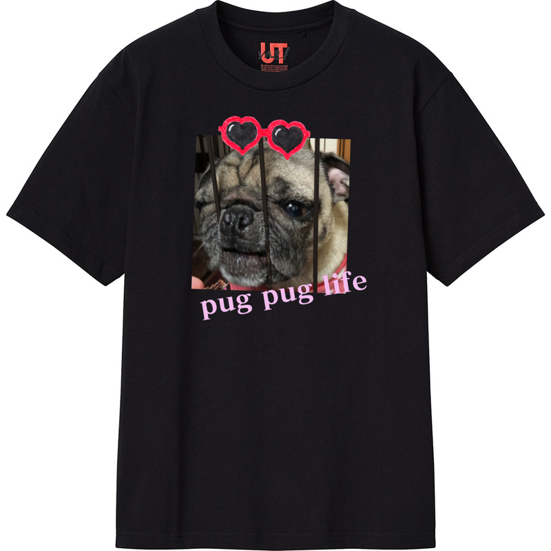 8db8ce0d 87f6 4cbc b9c8 6e55e268adad 111 print ll