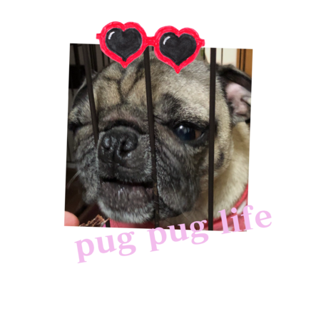 8db8ce0d 87f6 4cbc b9c8 6e55e268adad s