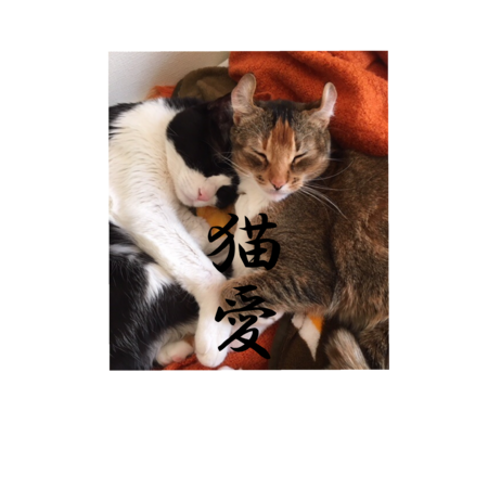 5b5197d5 41cc 451a 8aa0 7b2c9ec166ea s