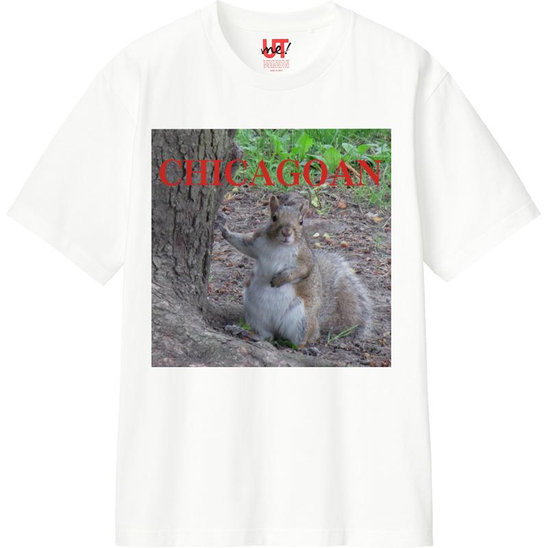 10717c64 5e2c 407d 82c3 5a99001c308a 110 print ll