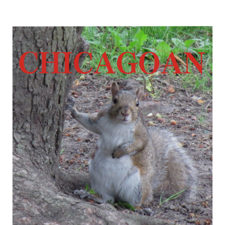 10717c64 5e2c 407d 82c3 5a99001c308a s