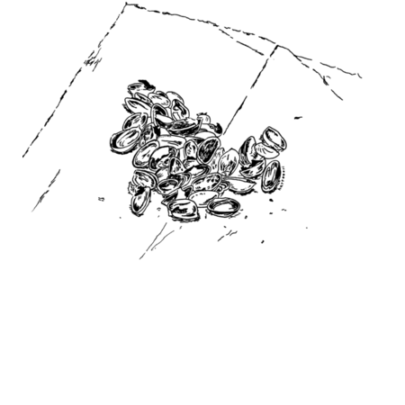 69323ab3 5864 4afb 8b93 25d001697fc3 s