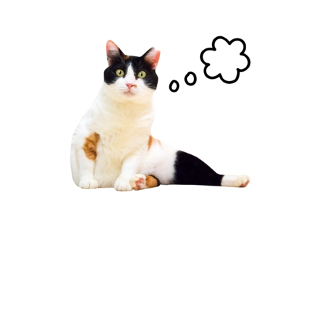 4ddd9cbd 516b 46c0 b05f f581fee22dee s