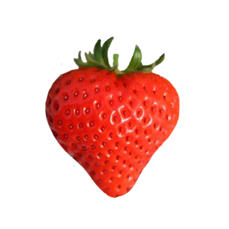 8eb54068 e912 4cbf 936f 86de8e10c815 s