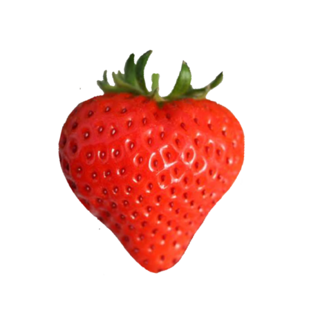 A1590a10 2655 44e4 b005 6e63f99ce773 s