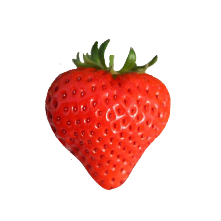 0d544d15 8c30 45d1 bf12 f4a31e076746 s