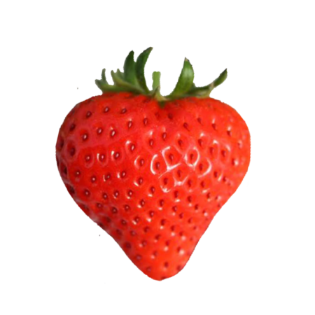 2cfe8c5e 4f57 4ad8 84ee 5c7c16f8624f s