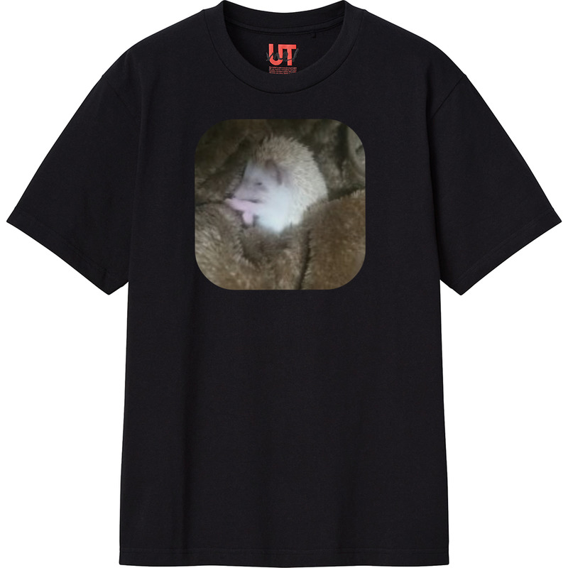 6d80a351 281d 4b92 9d32 33ea83709d97 111 print ll