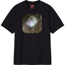 6d80a351 281d 4b92 9d32 33ea83709d97 111 print s