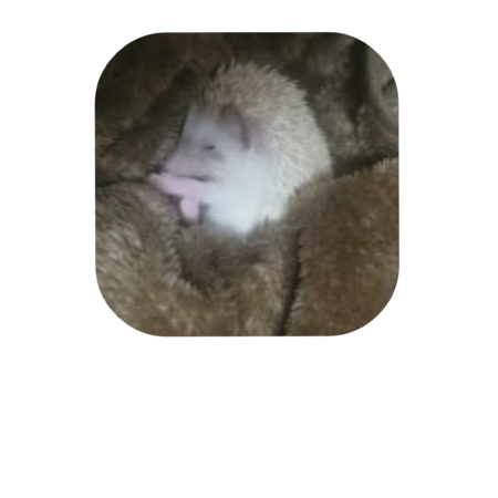 6d80a351 281d 4b92 9d32 33ea83709d97 s