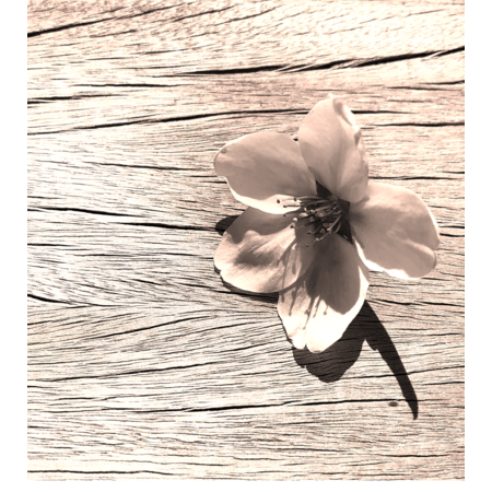 5182127e dca1 4a20 a4da ce7166bb6da5 s