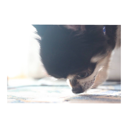 5564f3be 148f 4ebb a61b 907088fd41da s