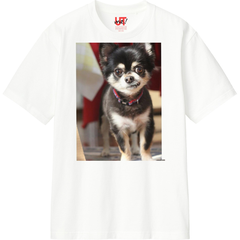 77d413c2 3af3 4a91 80c3 d5f64d392028 110 print ll