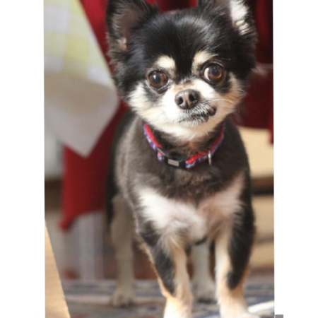 77d413c2 3af3 4a91 80c3 d5f64d392028 s