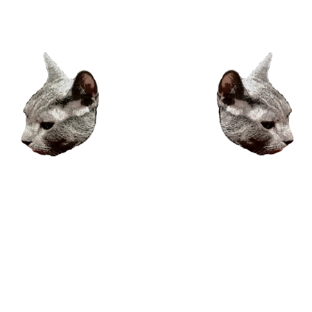 15b58d32 3178 46ce 93fd 73149eb7946a s