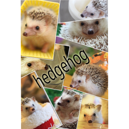 886ff353 dea5 4bf7 bd4e 61190dd4b711 s