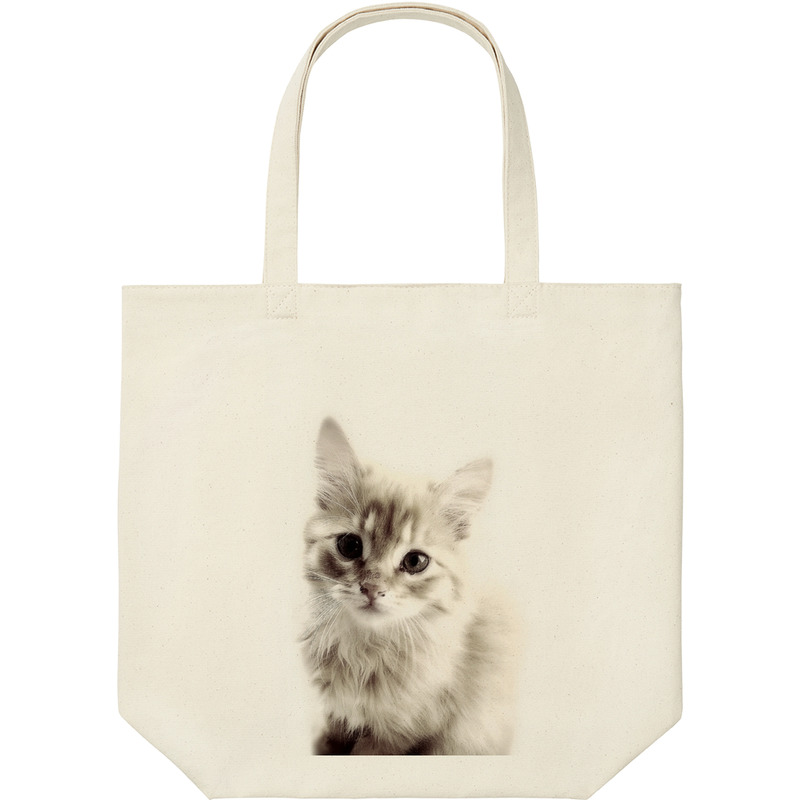 A33d8172 2045 4922 848c 1d1d74a6a9b5 9 print ll