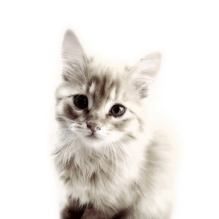 A33d8172 2045 4922 848c 1d1d74a6a9b5 s