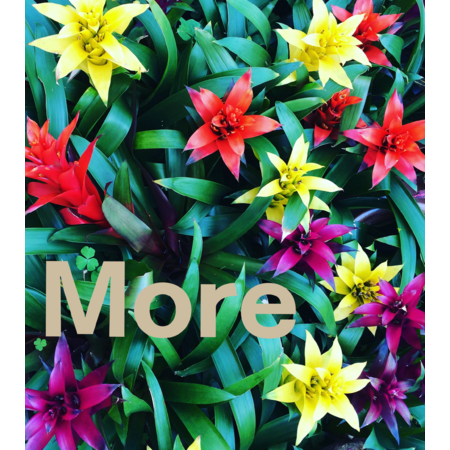 843d979a a5d4 462f 9bd6 9da51593cd72 s