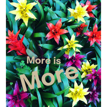 F8d0d78d dc5d 40a4 8b4c 369e1a02ae87 s