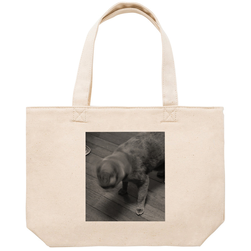 E501393a bda4 4bd1 84ac eadc45e4f1b0 53 print ll