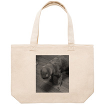 E501393a bda4 4bd1 84ac eadc45e4f1b0 53 print s