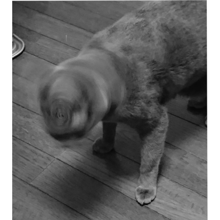 E501393a bda4 4bd1 84ac eadc45e4f1b0 s