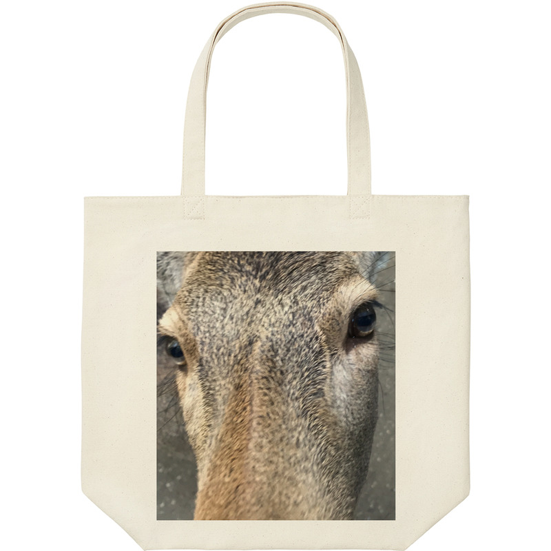 F009cf5b db4c 43e5 8127 cdc4b2e519c2 9 print ll