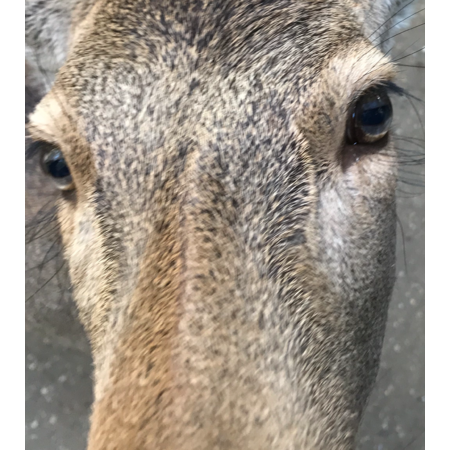 F009cf5b db4c 43e5 8127 cdc4b2e519c2 s