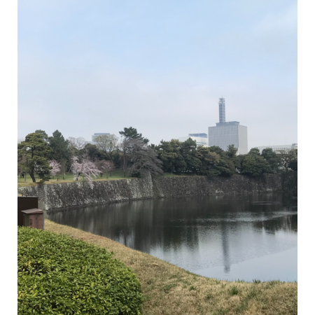 D1a769fd cf7e 46a4 ab5e 5ffd96d6edd8 s