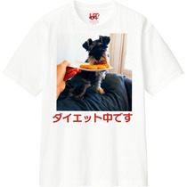 41570946 bcb0 4b29 85df 943ab996886e 110 print s