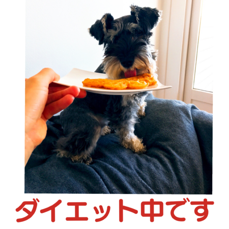 41570946 bcb0 4b29 85df 943ab996886e s