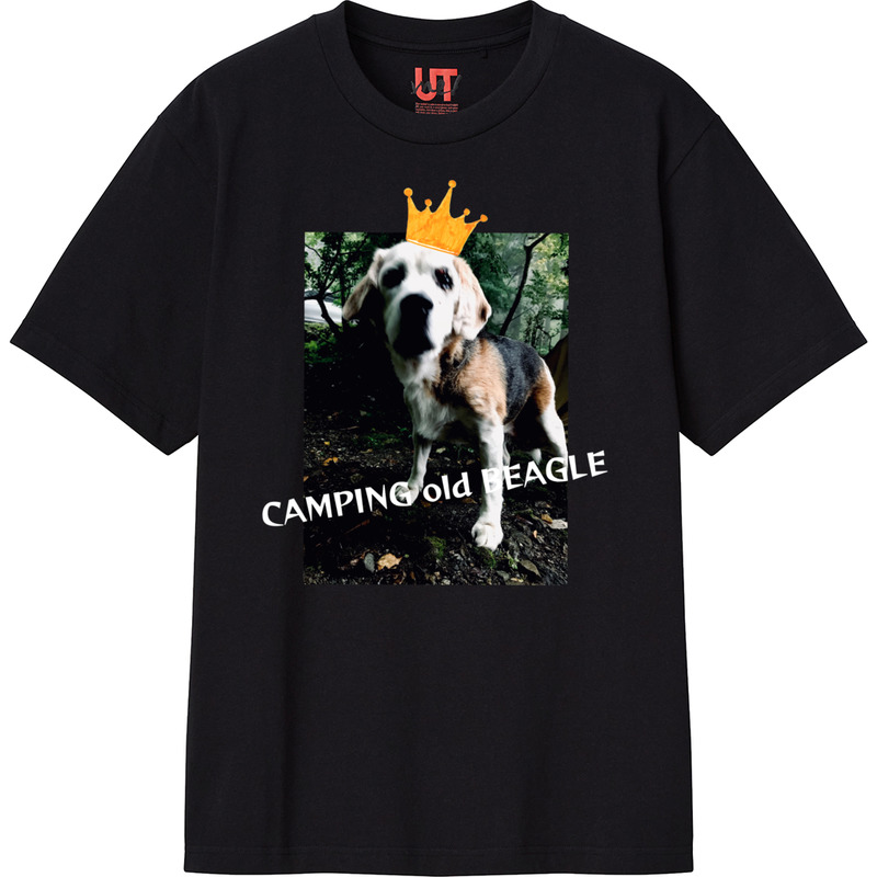 Ad58dc55 2a18 4cc3 9714 c15d496d81e5 111 print ll