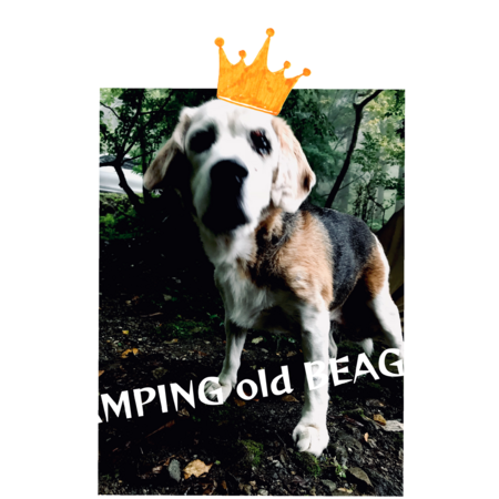 Ad58dc55 2a18 4cc3 9714 c15d496d81e5 s