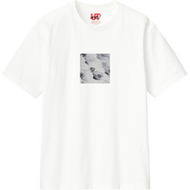 C0a340db 39d5 4f93 b8a9 82bf59216d6d 110 print s