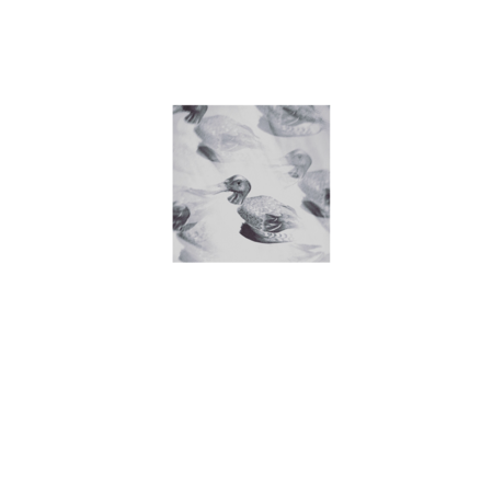 C0a340db 39d5 4f93 b8a9 82bf59216d6d s