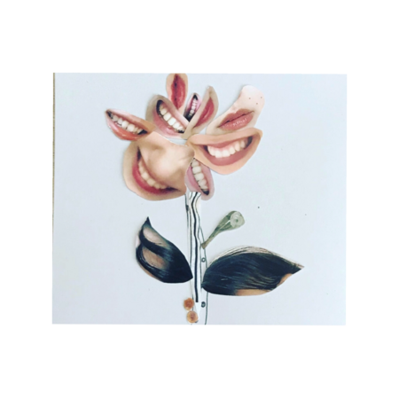 1b2704d5 fa00 4805 a551 a9e4e9f555da s