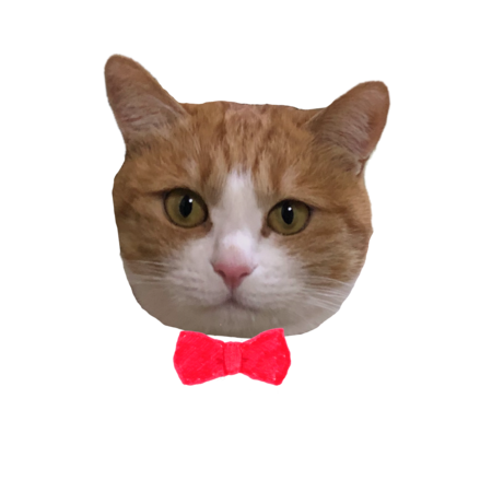 5284b544 a699 4b49 8ebd 46946b2b8d19 s