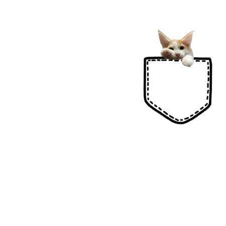 B71e1d3a e5cd 450e 8de2 dc27dfb5ba9b s