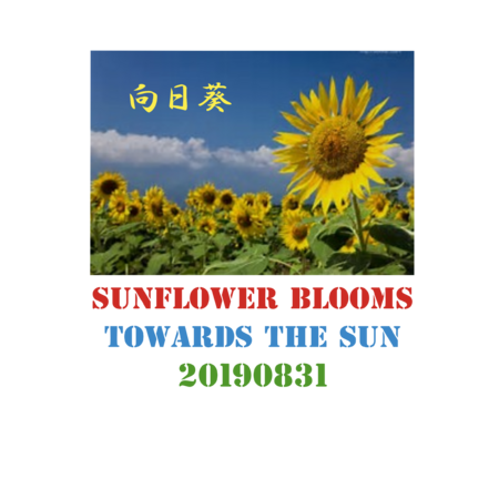 Fb1959c1 cb7b 47cf 884a 78314c8d78aa s