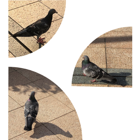 Bc38fe08 c8ab 49c5 9251 a2531ac375a8 s