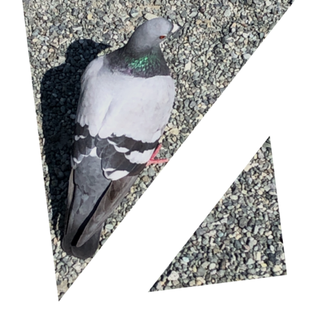 0cf0112a 9672 486b bccc c9c446618a46 s