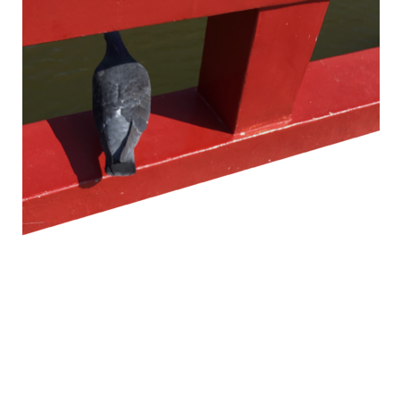 8000b2bf d984 4060 8a74 7a47f10f9a74 s