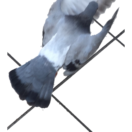 21ec93e4 76a4 440b 9c10 8450fc1d4b8a s