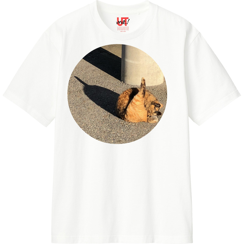 3e8b1c77 aec2 4769 8b22 62a05deab21e 110 print ll