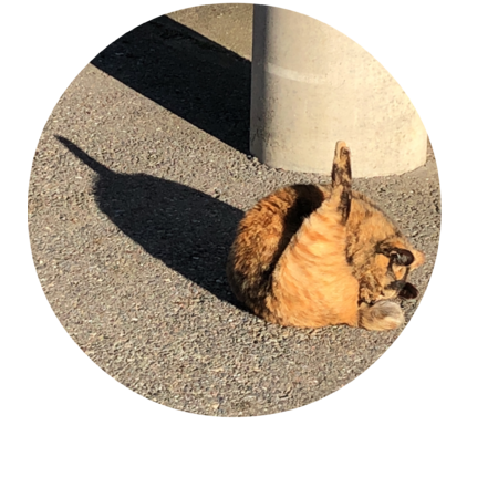 3e8b1c77 aec2 4769 8b22 62a05deab21e s